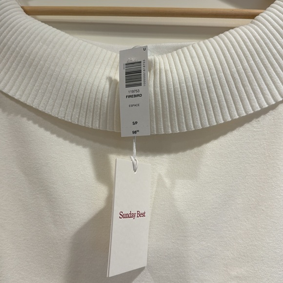 Aritzia Sunday Best Firebird Dress - Picture 10 of 10